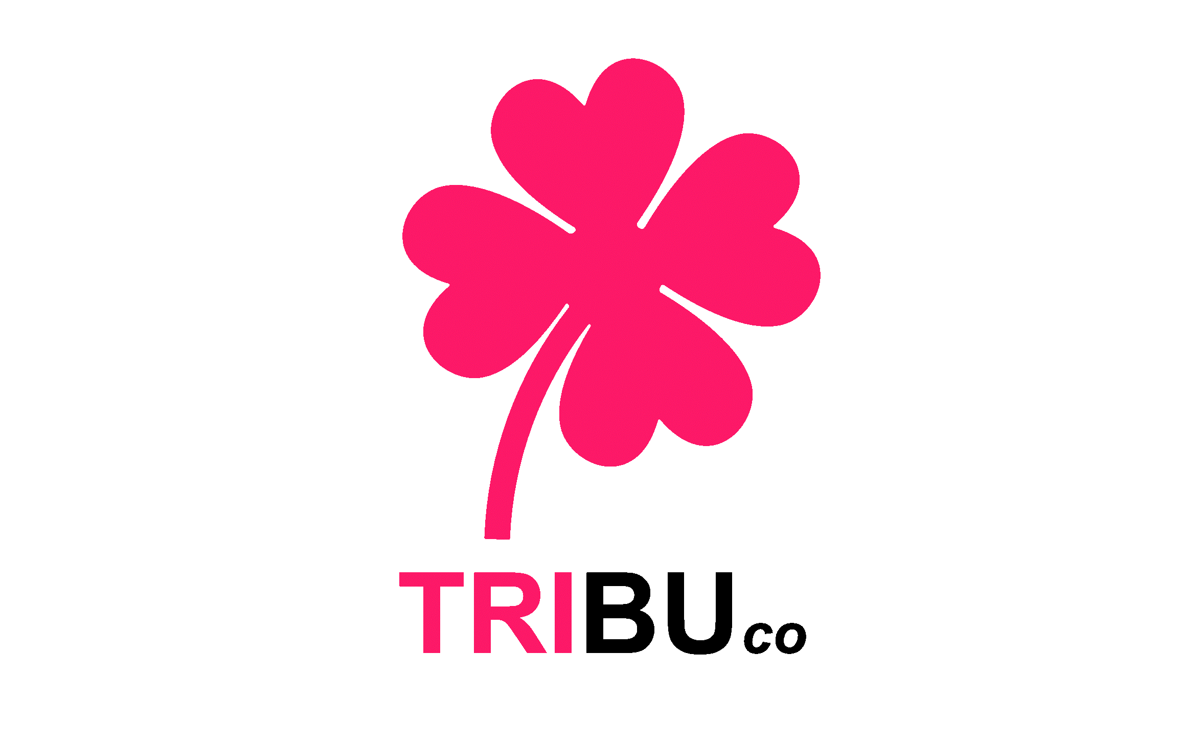 TIENDA DE VENTA EN LÍNEA. TRIBU